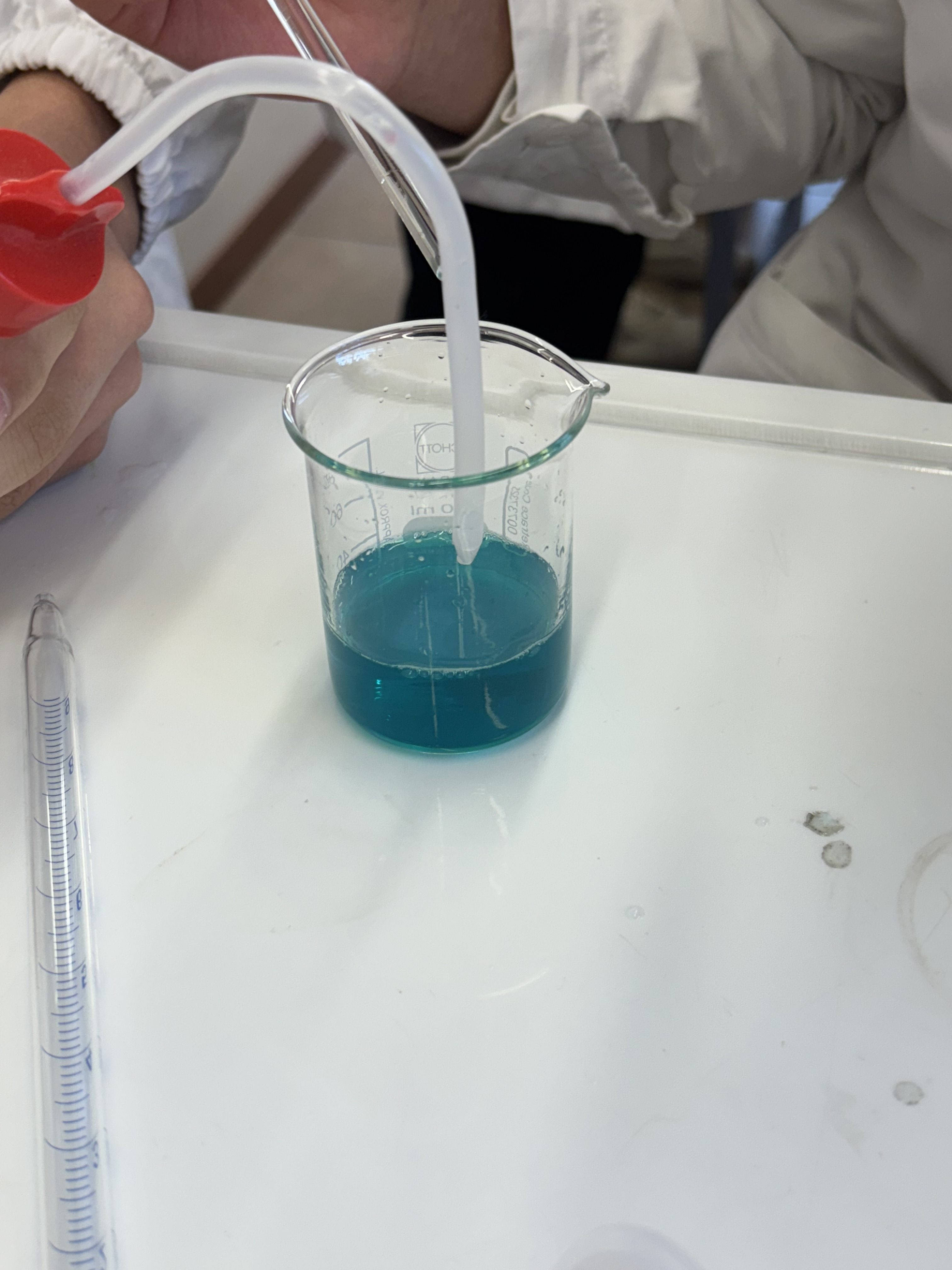 Dissoluzione del cloruro rameico nel becher